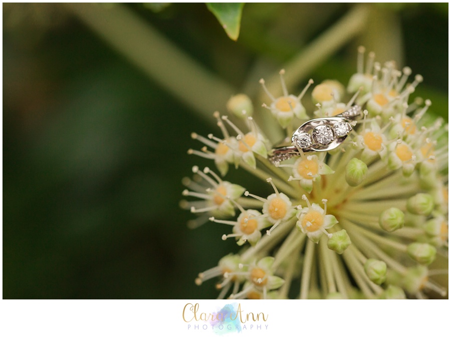 Freemason Norfolk Engagement Photos - Christine & Judah