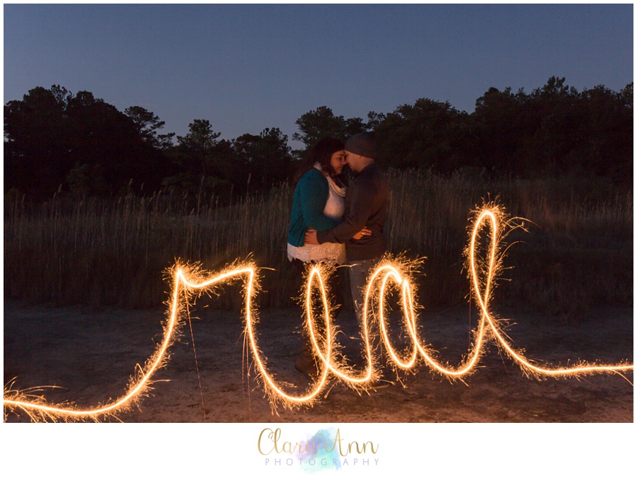 Hunger Games Engagement Photos